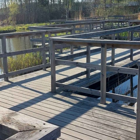 Strövområde och badplats vid Maden i Tullingesjön där Liberalerna vill bygga brygga