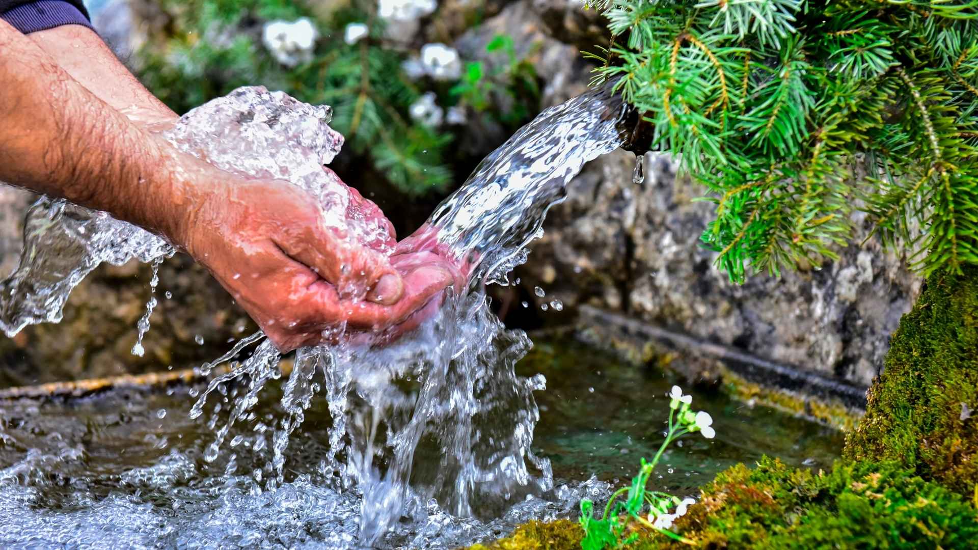 Tullinge vattenverk i Botkyrka med fokus på PFAS-rening och vattenförsörjning