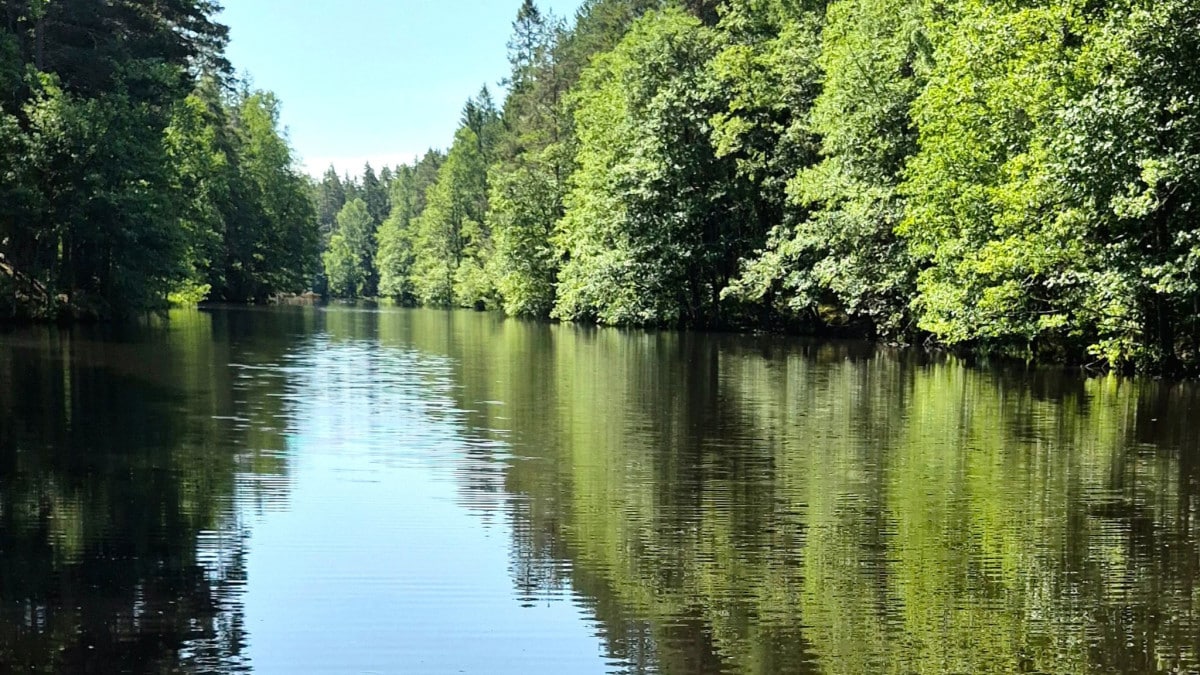 Harbro-Lida dammar i Botkyrka med motionsspår och naturområde.